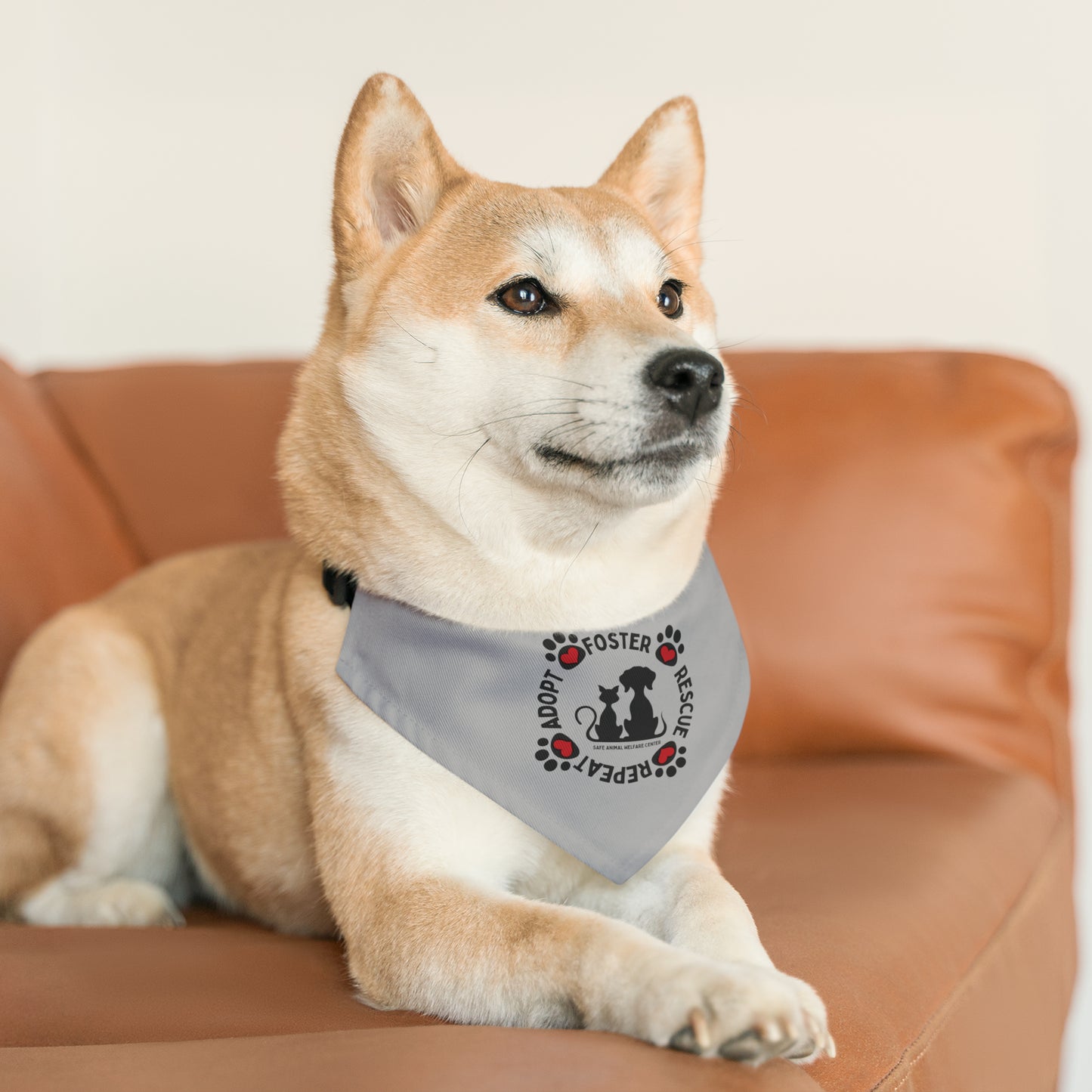 Every Little Bit Counts, Pet Bandana Collar