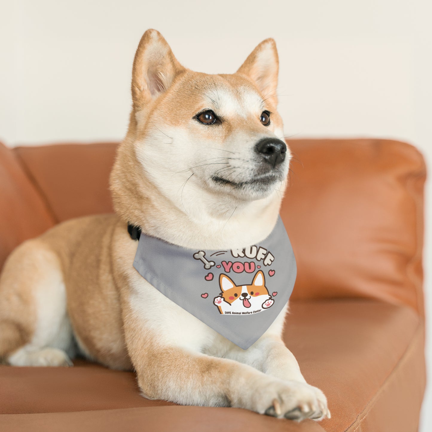 We Ruff You, Pet Bandana Collar