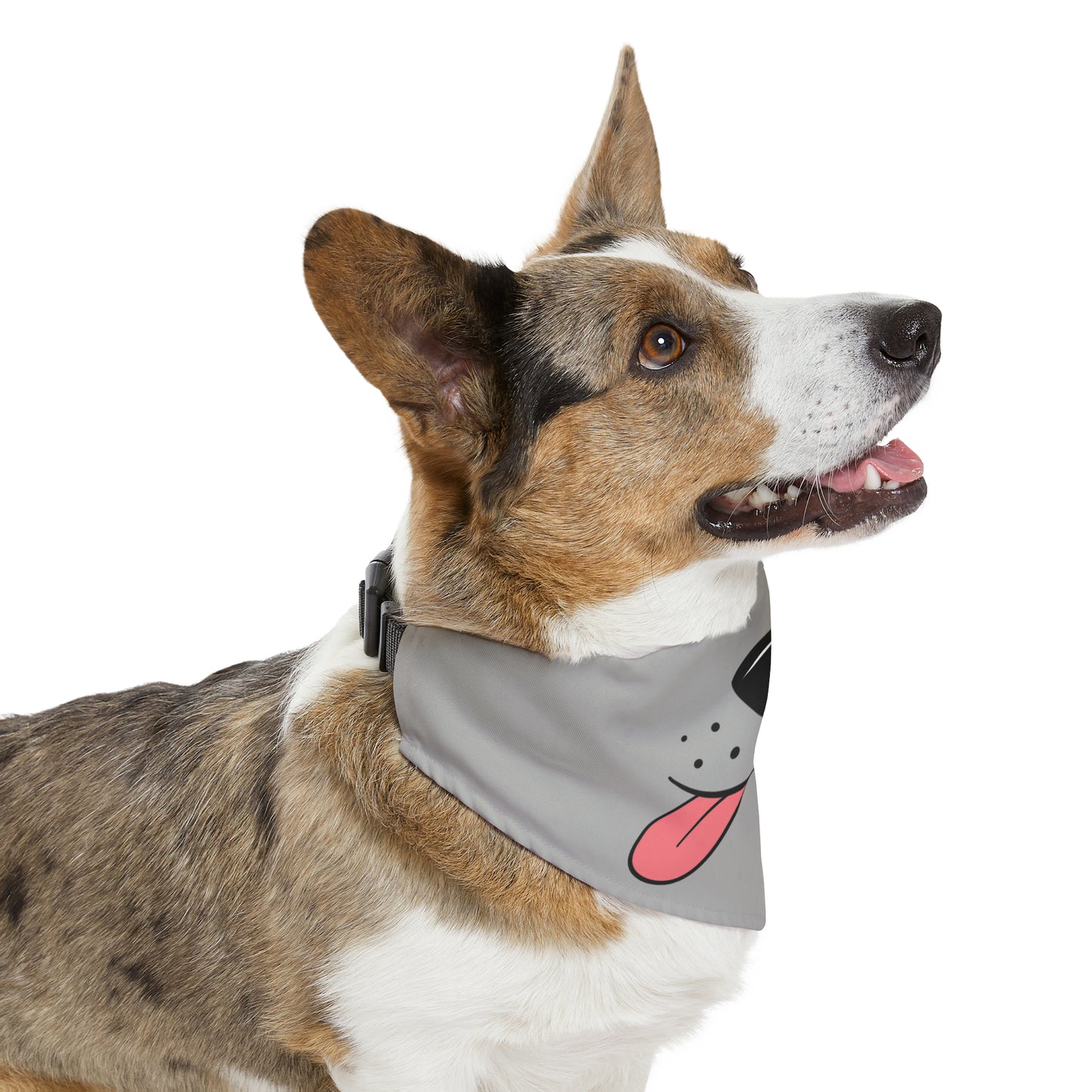 Woff, Pant Pant, Pet Bandana Collar