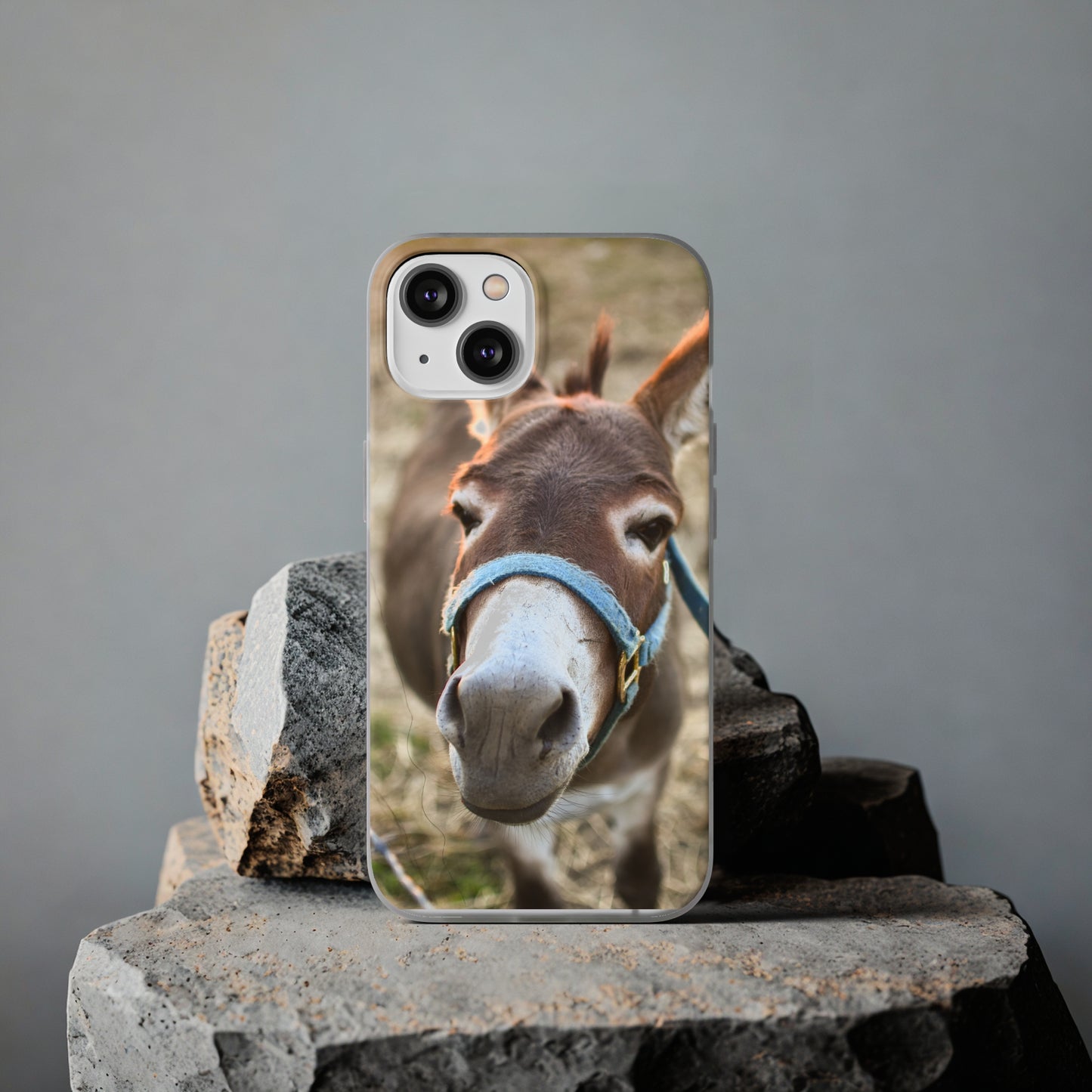 Cute Donkey Phone Case