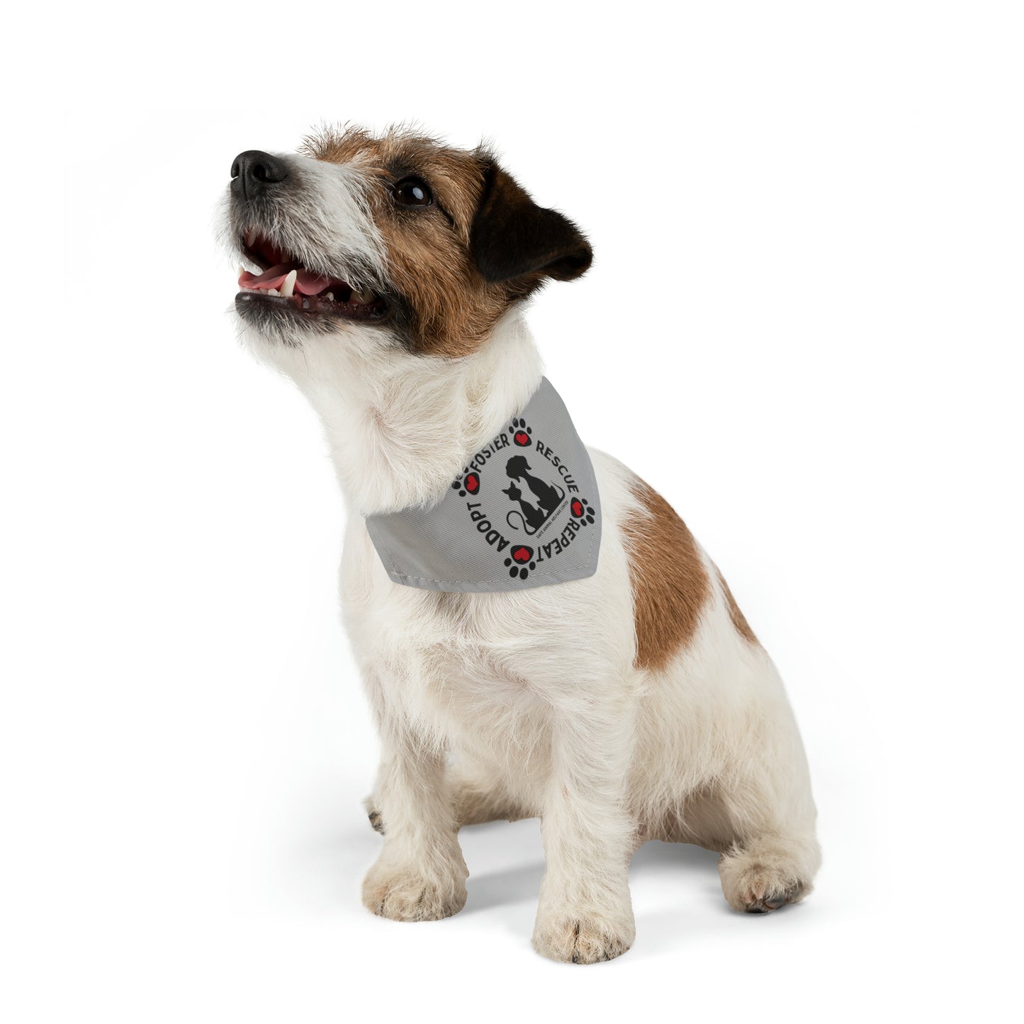 Every Little Bit Counts, Pet Bandana Collar