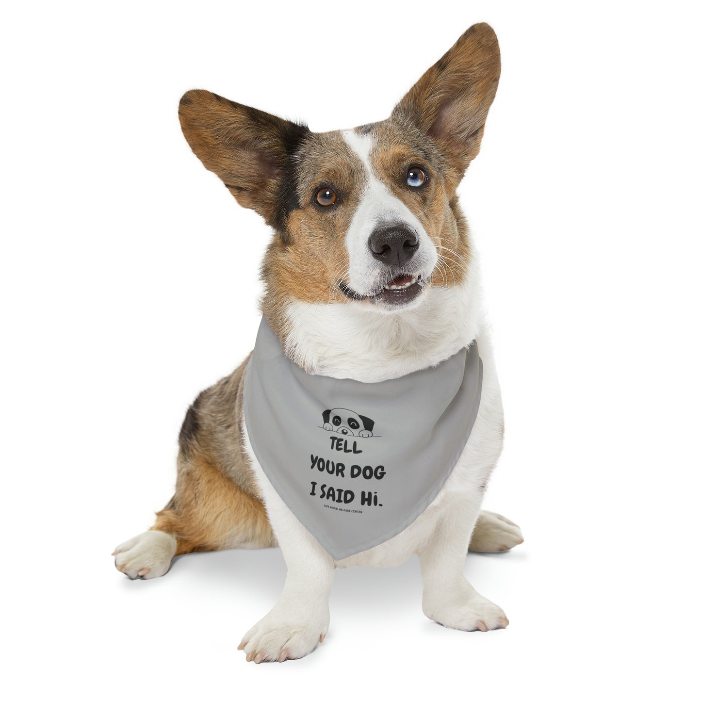 Don't Forget to Tell Your Dog, Pet Bandana Collar