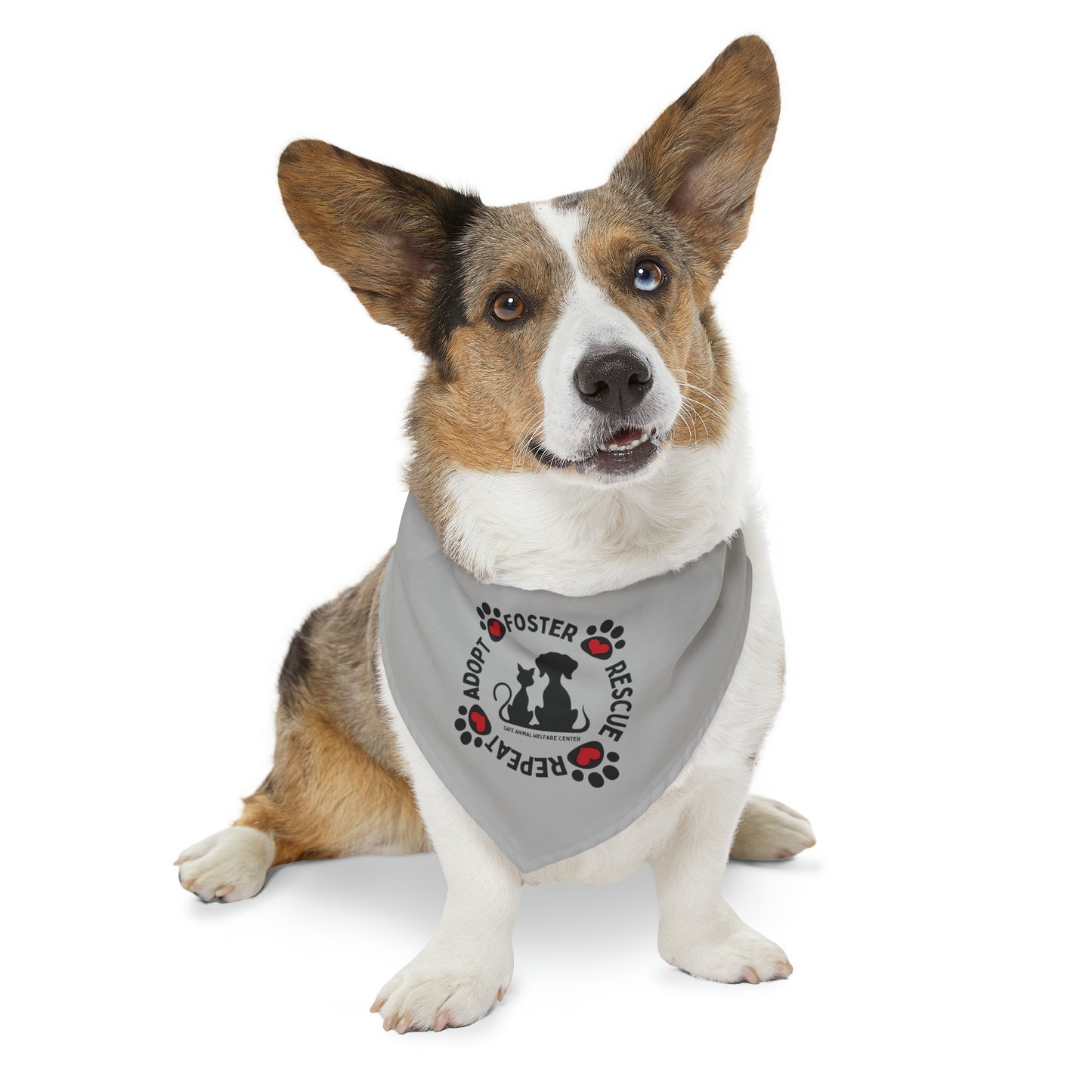 Every Little Bit Counts, Pet Bandana Collar