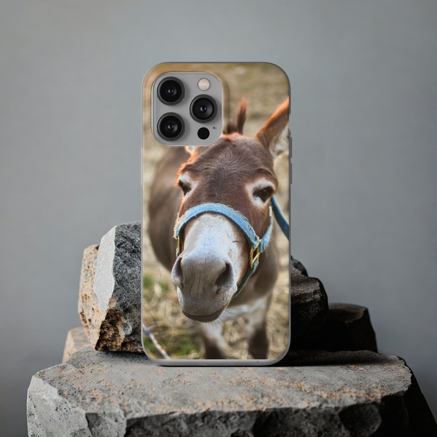 Cute Donkey Phone Case