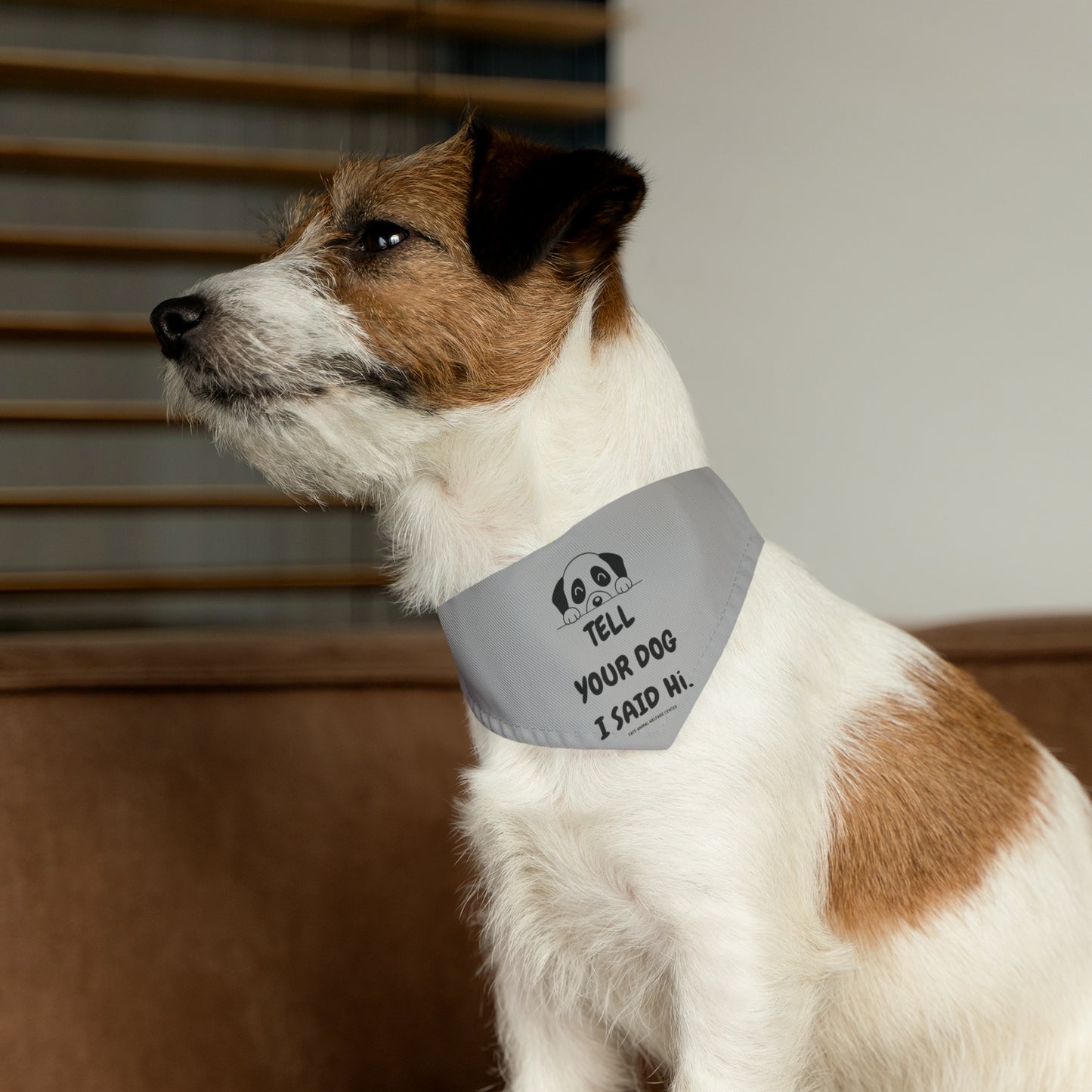 Don't Forget to Tell Your Dog, Pet Bandana Collar