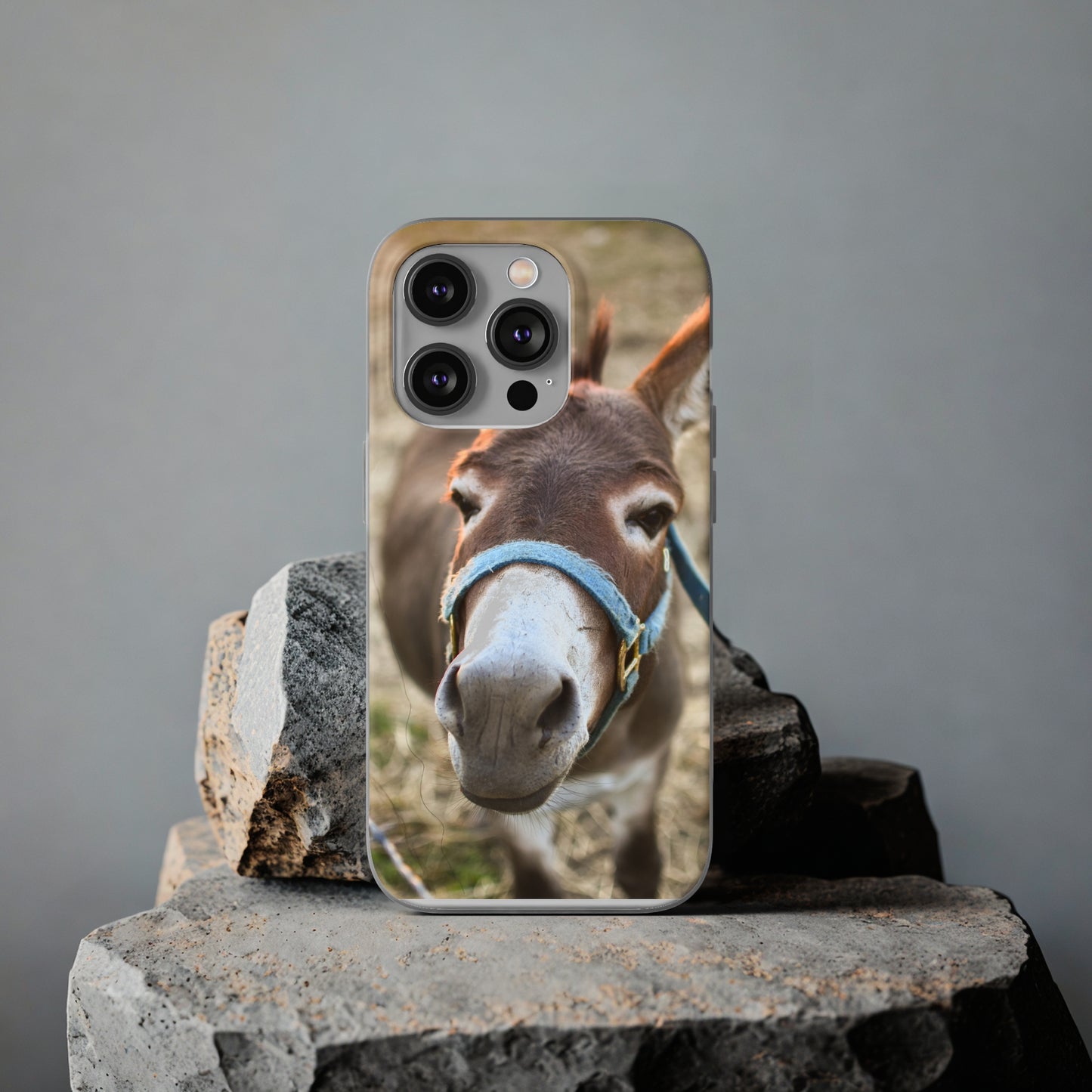 Cute Donkey Phone Case